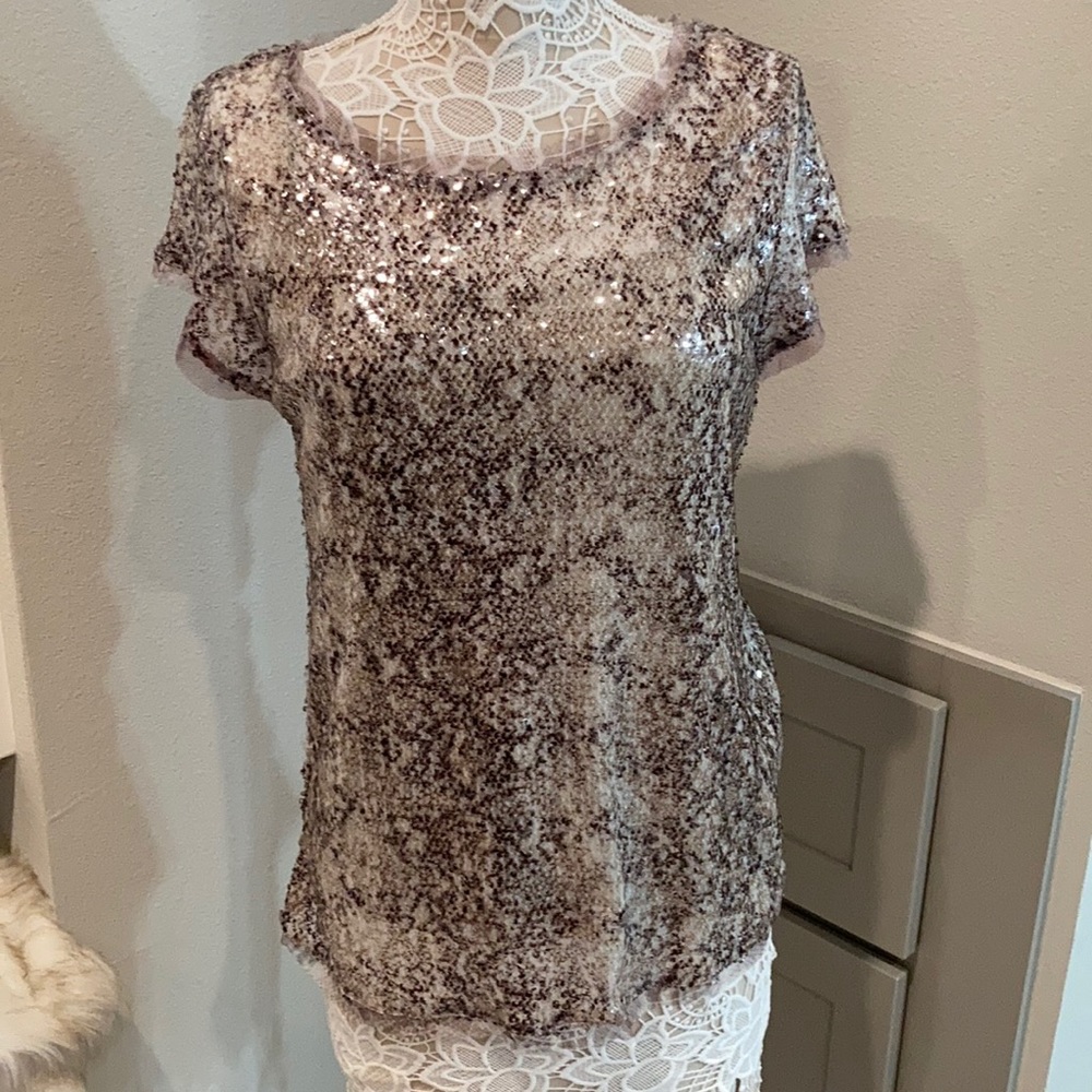 Inc Sheer glitzy top